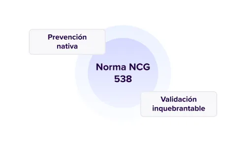 Gráfico que guarda relación directa con la norma NCG 538.